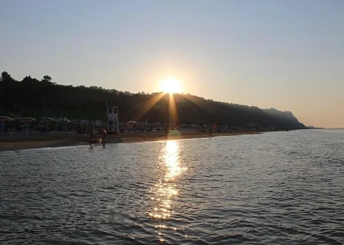 Norina 3* بيزارو