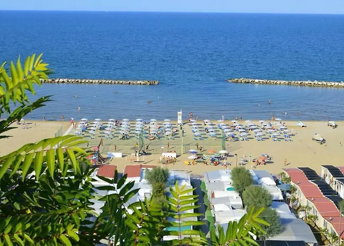 Norina 3* بيزارو